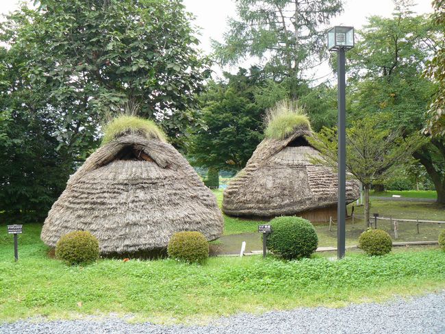 �����_��