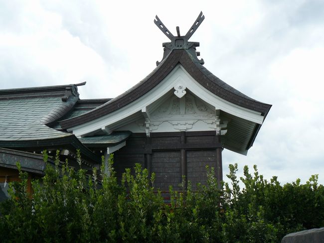 �����_��