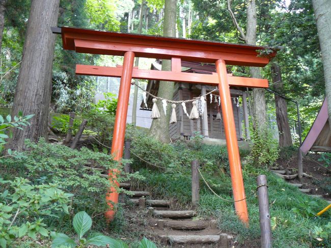 ���c�����{�E�����哰����