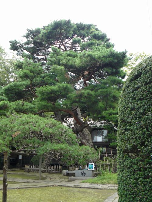 �厜���E��