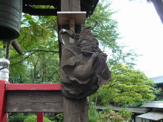 �厜���E���O����