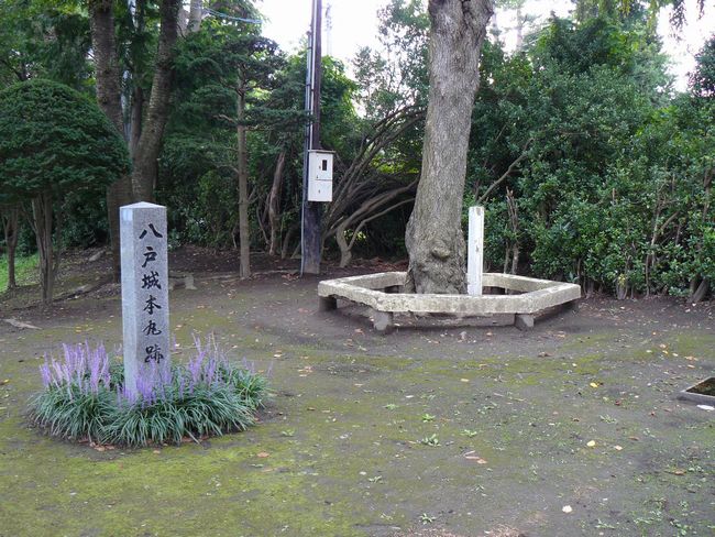 ���ˏ�E�{�ېՔ�