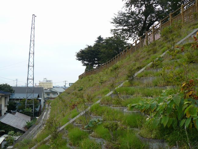 ���ˏ�E�{�ۖk���Ζ�