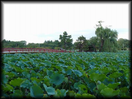 �����_�Ёi�ٓV�{�j