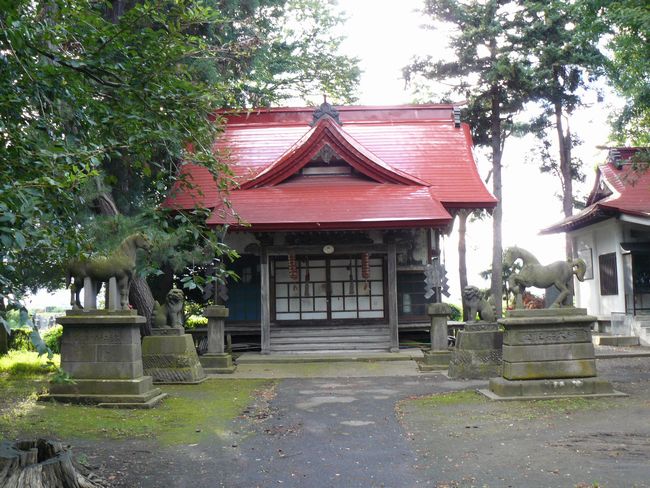 ����s�E�ېH�_��