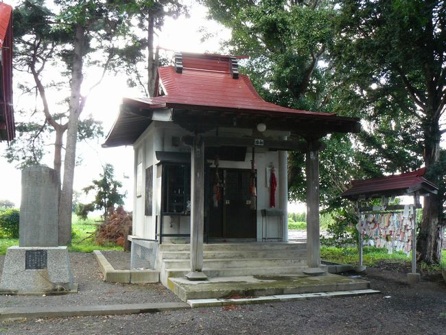 ����s�E�ېH�_��