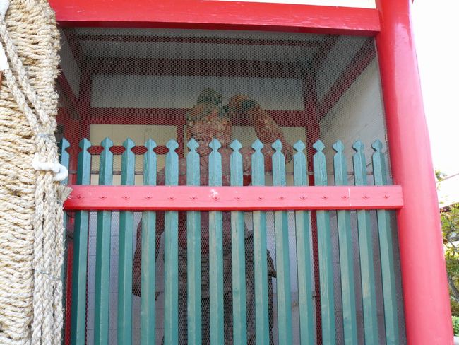 ����s�E�_�{��