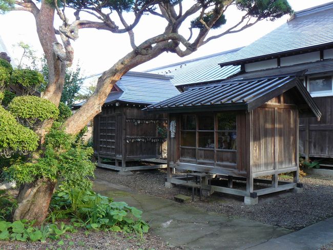 ����s�E�@��@