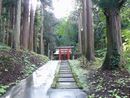 巌鬼山神社苔生した参道と両側の杉の大木