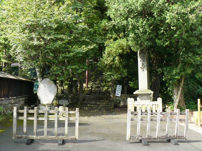 �O�O�s�E�v�n��