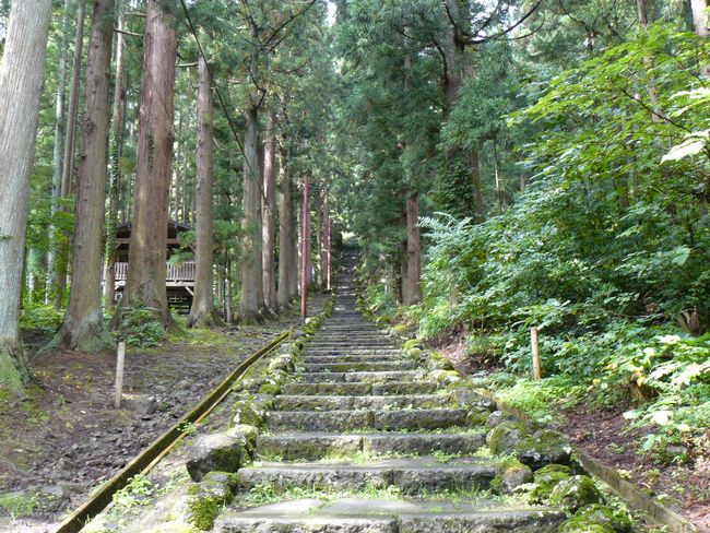 �O�O�s�E�v�n��