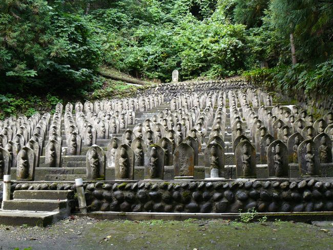 �O�O�s�E�v�n��