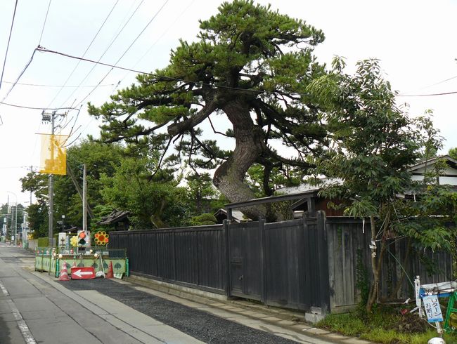 �O�O�s�E���ɓ��ƏZ��