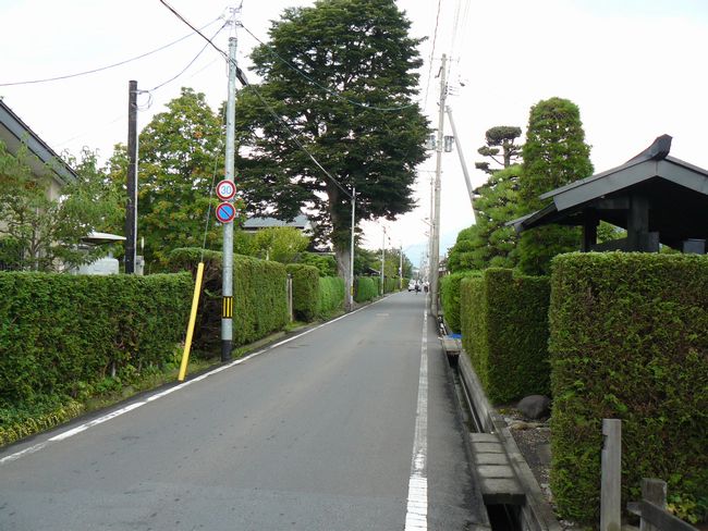 �O�O�s�E�����E������