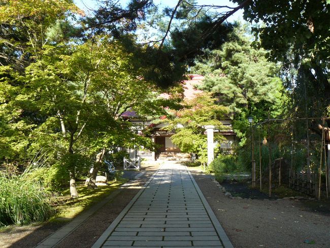 �O�O�s�E�@����