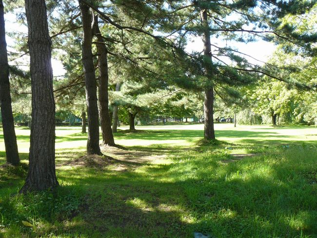 �O�O��E��̊�