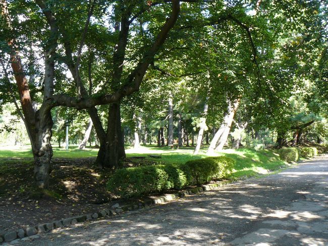 �O�O��E�O�̊�