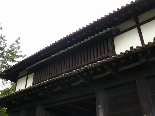 �O�O��E����