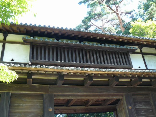 �O�O��E������