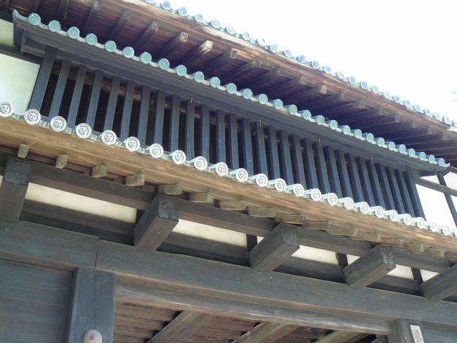 �O�O��E�ǎ��