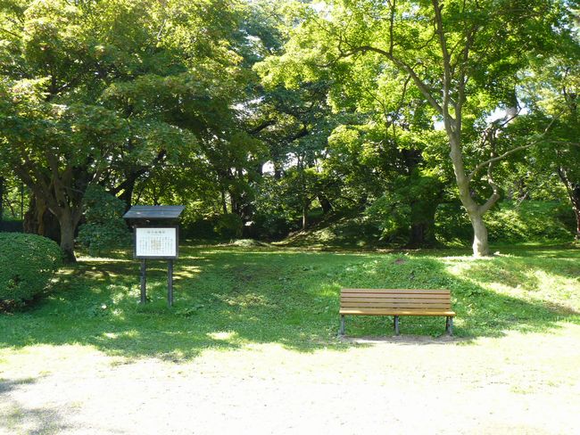 �O�O��E�����ۘE