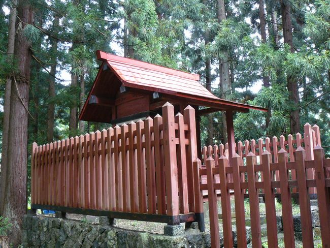 ���ډ����E�F��{