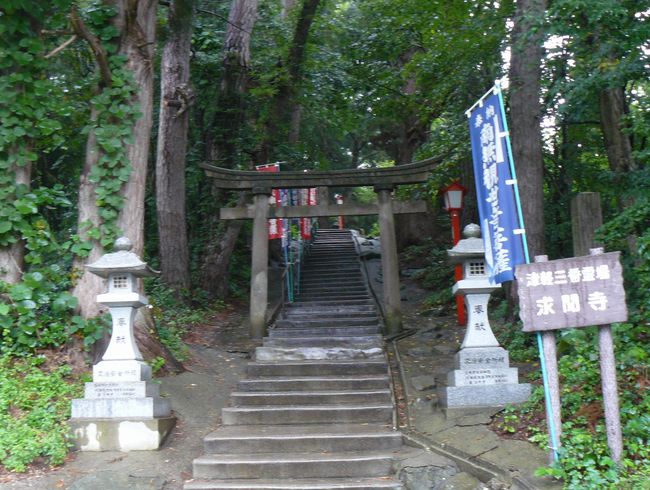 �O�O�s�E������