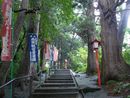 求聞寺参道石段と両脇の大木