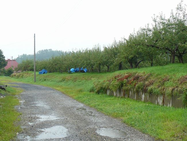 �O�O�s�E��Y��