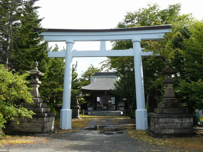 �����E�����_��