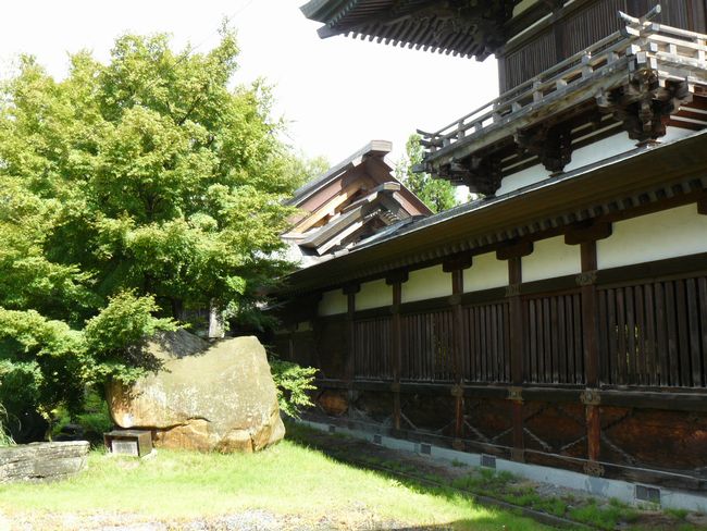 �����E�����_��