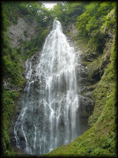 ���낭�܂̑�̑S�i