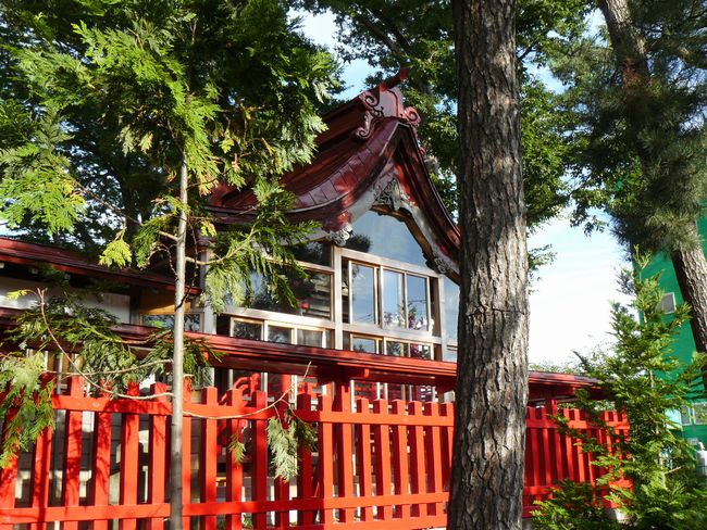 �܏��쌴�s�E���ؔ����_��