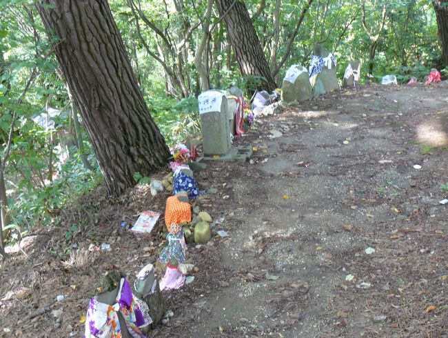 �܏��쌴�s�E��q�΂̉͌�