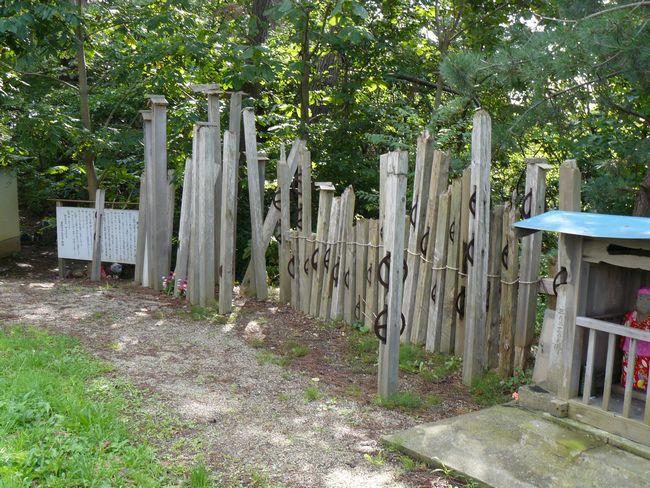 �܏��쌴�s�E��q�΂̉͌�