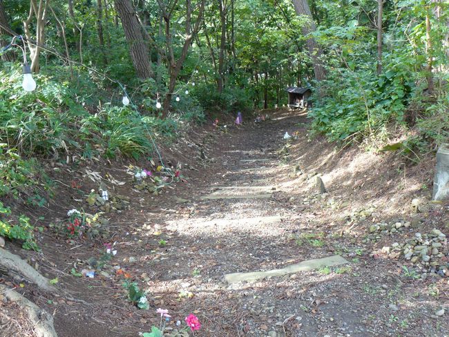 �܏��쌴�s�E��q�΂̉͌�