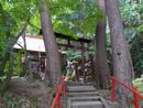 白山姫神社石段から見上げた鳥居と社殿