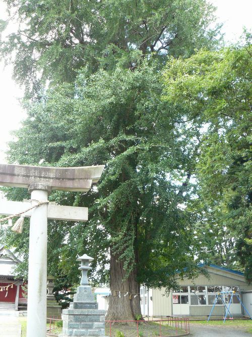 ���Ύs�E��א_��