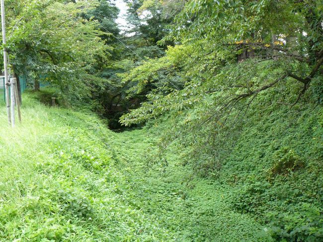 ���Ύs�E���ΐw���i��j