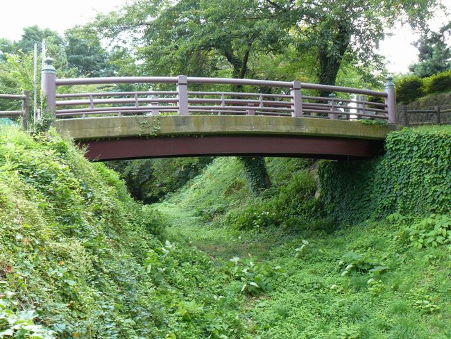 ���Ύs�E���ΐw���i��j