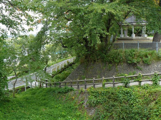 ���Ύs�E���ΐw���i��j