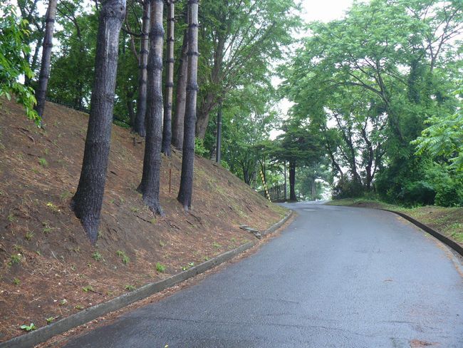 �ނs�E�c�����㊯��