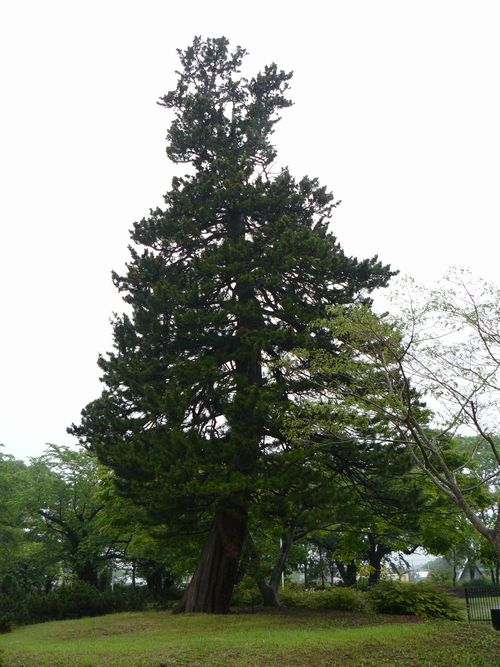 �ނs�E�c�����㊯��