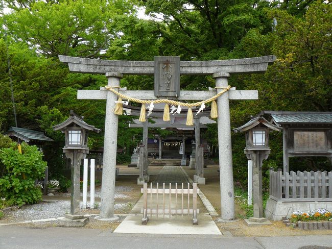 �ނs�E��������{