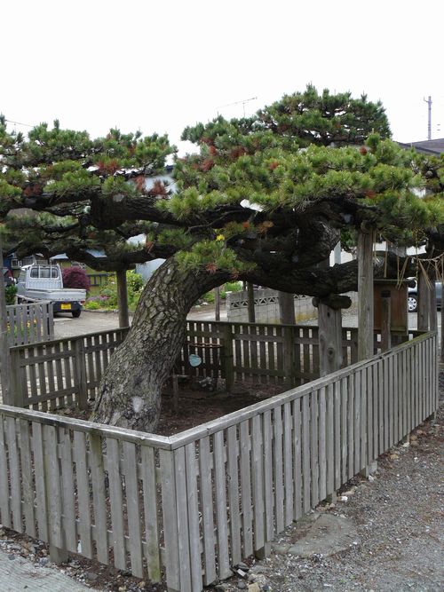 �ނs�E�������ω���