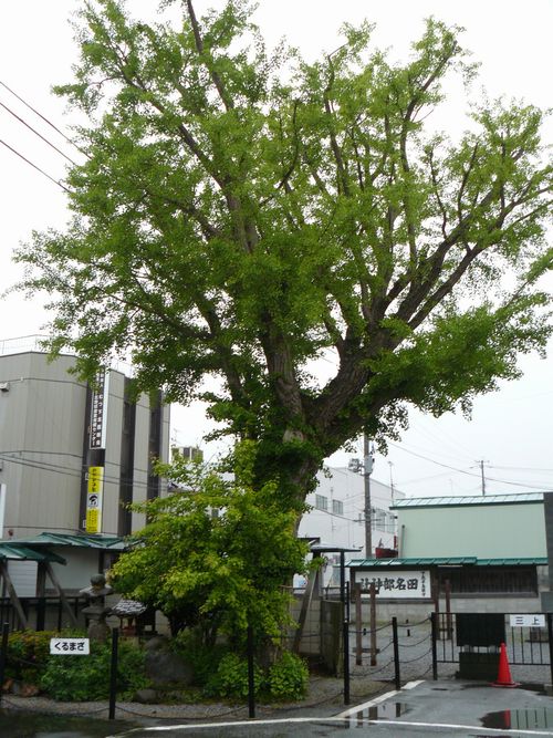 �ނs�E�c�����_��