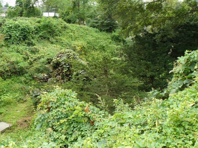 ��Ӓn�㊯���i��j