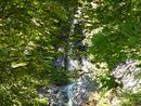 奥入瀬渓流：不老の滝