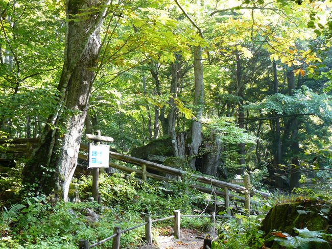 �������k���E�΃���