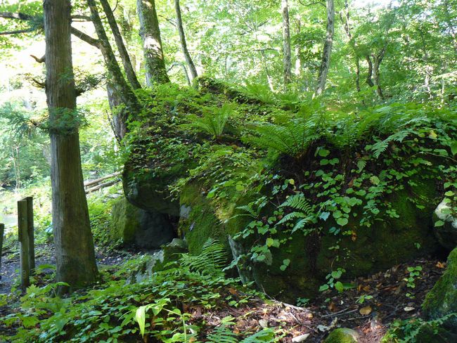 �������k���E�΃���